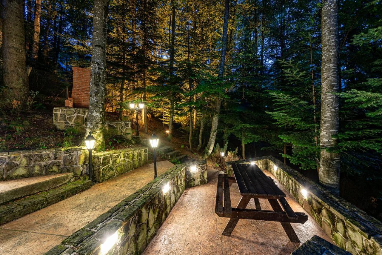 Hotel Regal Sinaia Exterior foto